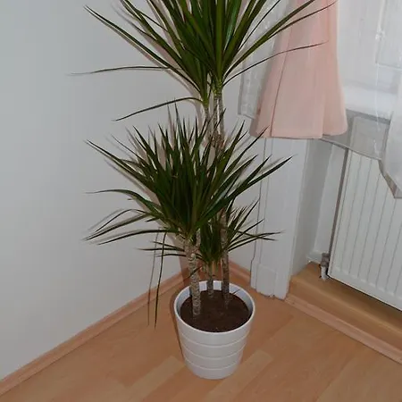 Erkel Apartman Budapest